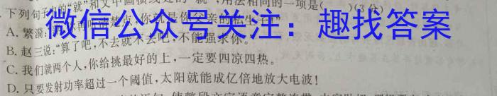 邯郸市2023-2023学年高一年级第二学期质量检测语文