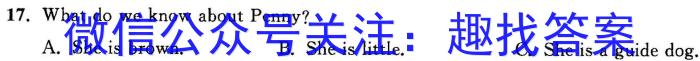2023年厦门四检英语