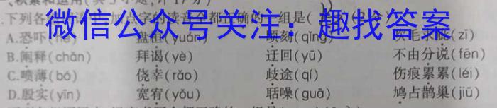 2023年四川省大数据精准教学联盟2020级高三第二次统一监测(2023.5)语文