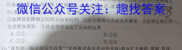 安徽省2023届九年级下学期教学评价三地理.