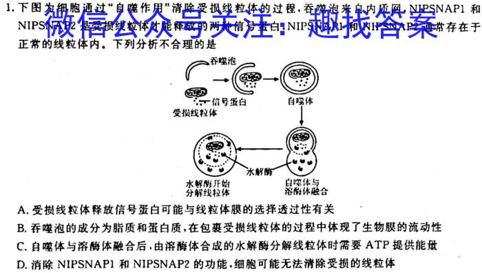 学海园大联考2023届高三冲刺卷（一）生物