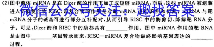 安徽省2022-2023学年度八年级下学期期末检测卷生物试卷答案