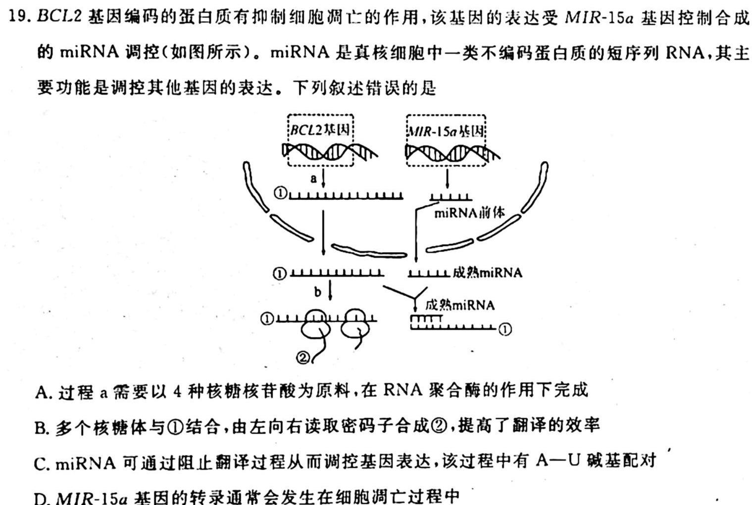 2023年中考导向预测信息试卷(五)5生物