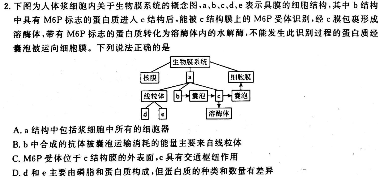 2023年普通高等学校招生伯乐马押题考试(三)生物