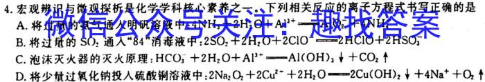 2023年河南大联考高三年级5月联考（5003C·HEN）化学