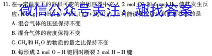 玖壹联考 安徽省2022~2023学年高一年级下学期阶段检测考试(5月)化学