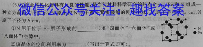 安徽省芜湖市无为市2024-2023学年九年级中考模拟检测（二）化学