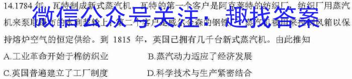 华师—附中2023年普通高等学校招生全国统一考试名校联盟·压轴卷(二)历史