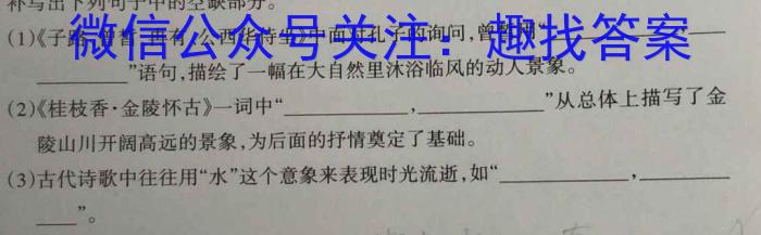 安徽省全椒县2023届九年级第二次模拟考试语文