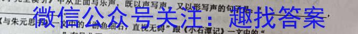 2023年广西初中学业水平适应性考试(压轴题)语文