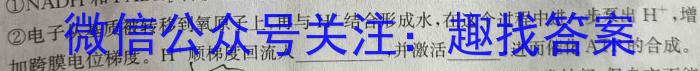 2023年四川省大数据精准教学联盟2020级高三第二次统一监测(2023.5)生物