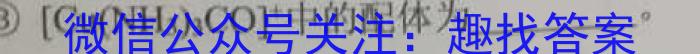 2023届福建省漳州市高中毕业班第四次教学质量检测化学