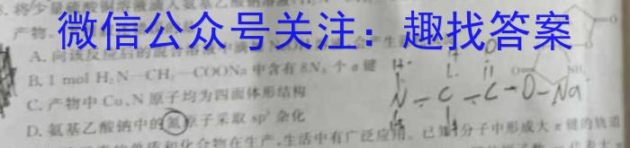 T2·2023年陕西省初中学业水平考试模拟试卷A化学