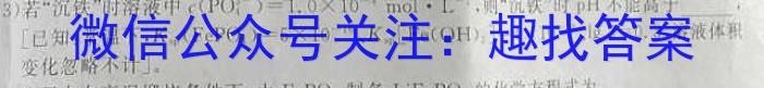 皖智教育 安徽第一卷·2023年八年级学业水平考试信息交流试卷(六)化学