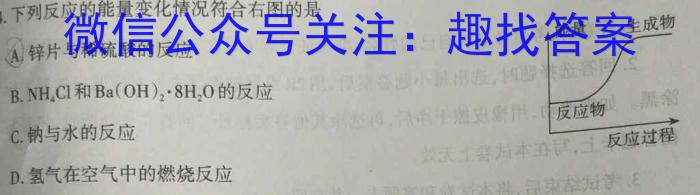 2023年普通高等学校招生全国统一考试信息模拟测试卷(新高考)(四)化学
