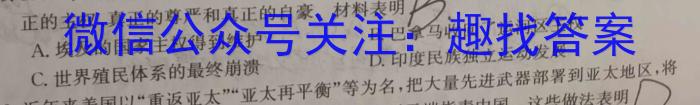 2023届重庆市南开中学校高三第九次质量检测（三诊）历史试卷
