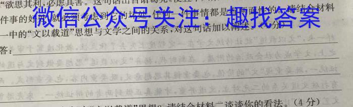 陕西省2023年九年级教学质量检测B（圆圈横线）语文