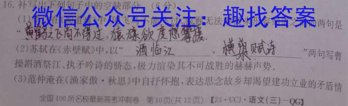 2023年陕西省初中学业水平考试全真模拟押题卷(三)语文