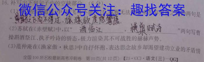 2023年普通高等学校招生全国统一考试精品预测卷(四)4语文