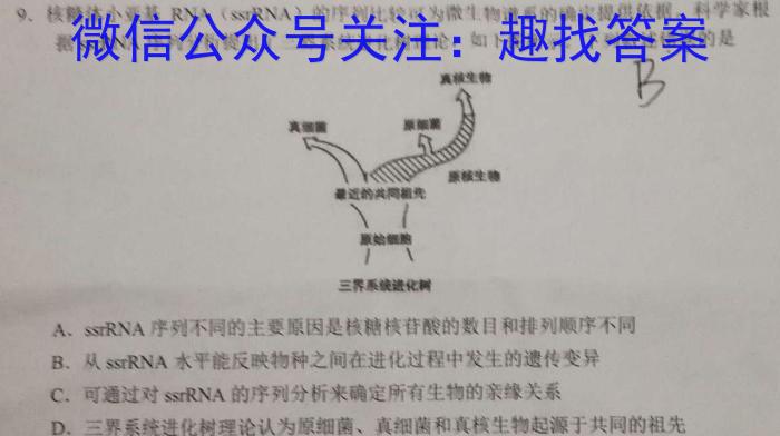 2023年陕西大联考高三年级5月联考（▶◀）生物试卷答案