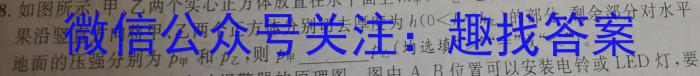 江西省2023年初中学业水平考试冲刺（一）物理`