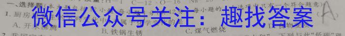 2023届衡水金卷·先享题·临考预测卷 新高考化学
