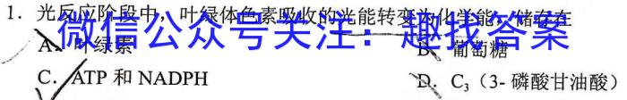 2023年广西三新联盟高二年级5月联考生物