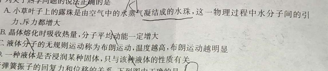 一步之遥 2023年河北省初中毕业生升学文化课考试模拟考试(十一)-物理