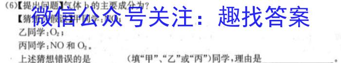 安师联盟·安徽省2023年中考仿真极品试卷（一）化学