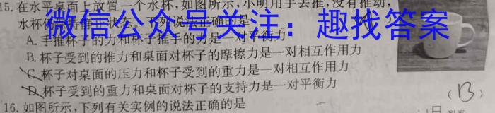 2023年广东省普通高中学业水平考试压轴卷(一)q物理