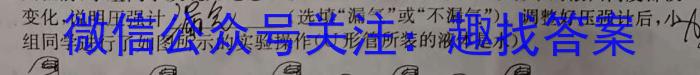 安徽省2023届九年级考前适应性评估（三）（8LR）q物理