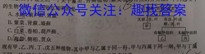 2023年普通高等学校招生全国统一考试信息模拟测试卷(新高考)(六)生物