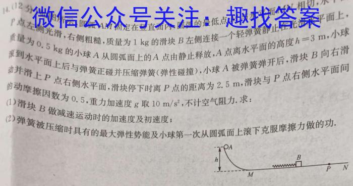 2024届普通高等学校招生统一考试青桐鸣高二5月大联考物理`