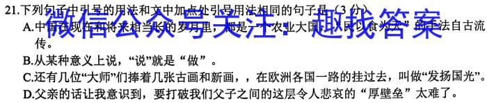 师大名师金卷2023年陕西省初中学业水平考试（六）语文
