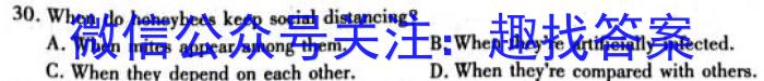 2023届全国百万联考老高考高三5月联考(5003C)英语试题