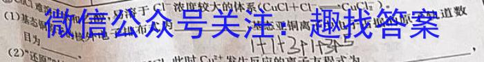 江西省2023年初中学业水平考试冲刺练习（二）化学