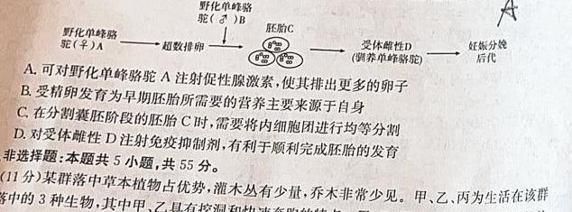 天一大联考·皖豫名校联盟2022-2023学年(下)高一年级阶段性测试(四)生物