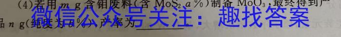 合阳县2023年初中学业水平九年级第二次模拟考试(5月)化学