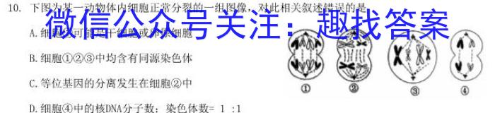 非凡吉创·2024-2023下学年高三年级TOP二十名校猜题大联考(一)生物