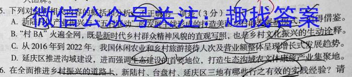 文博志鸿 2023年河北省初中毕业生升学文化课模拟考试(状元卷一)语文