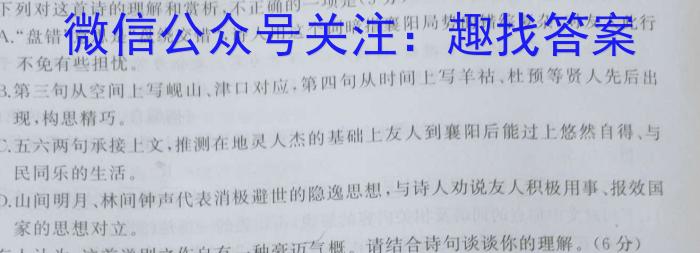 河南省驻马店市2023年学业质量检测试卷（九年级）语文