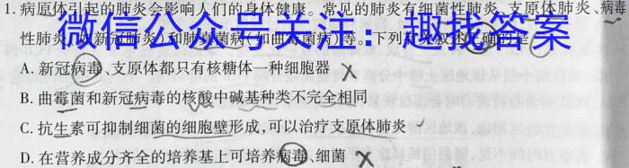 2023年湖南大联考高三年级5月联考（23-467C）生物试卷答案