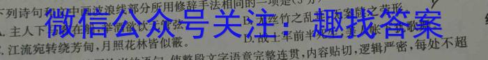 安徽省C20教育联盟2023年中考最后典题卷(一)语文