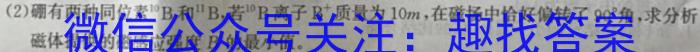 郴州九校联盟2023届适应性测试(5月)q物理