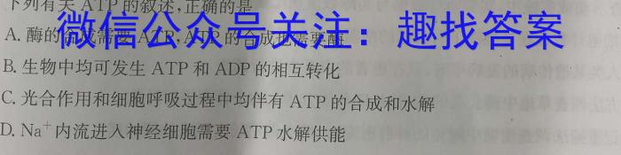 湖南省岳阳市岳阳县第一中学2024-2023学年高二下学期期末考试生物