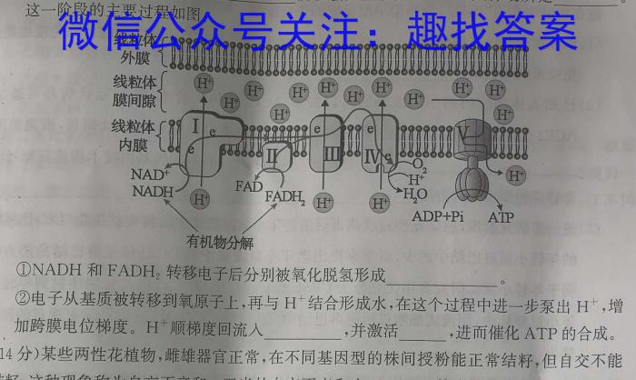 合阳县2023年初中学业水平九年级第二次模拟考试(5月)生物