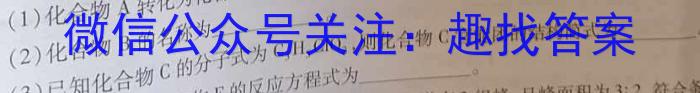 文博志鸿 2023年河北省初中毕业生升学文化课模拟考试(状元卷二)化学