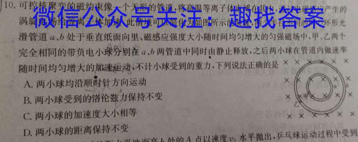 2023年河北大联考高三年级5月联考（524C·HEB）物理`