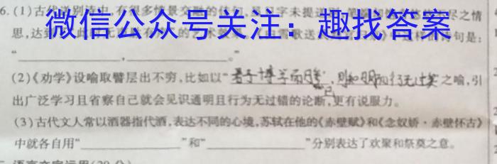 安师联盟·安徽省2023年中考仿真极品试卷（一）语文