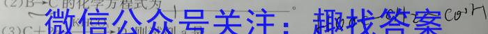 2023届哈尔滨市第九中学高三第四次高考模拟化学